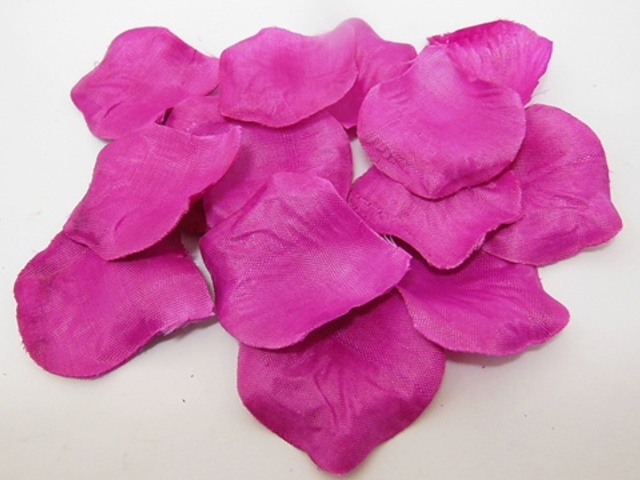 1000X Rose Petals Wedding Party Decoration - Purple - Click Image to Close