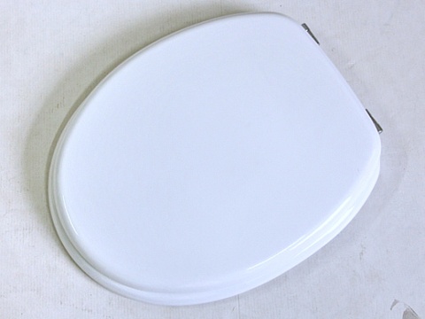 1X New Plain White Toilet Seat & Cover - Click Image to Close