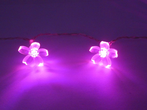 12Strings X 2.7M 20 Led Light Fairy Light Wedding Flower - Click Image to Close