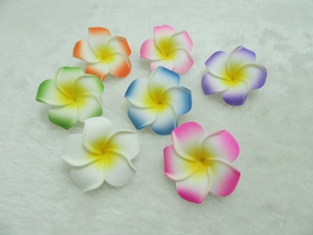 50 New Fabulous Foam Frangipani Flower 4.5x2cm Mixed 50 New Fabulous Foam Frangipani Flower 4.5x2cm Mixed