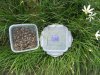 5X Portable Collection Camping Food Box Storage Container 800ML 5X Portable Collection Camping Food Box Storage Container 800ML