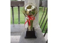 1Pc Golden Plated Trophy Cup Novelty Achievement Award 41cm High 1Pc Golden Plated Trophy Cup Novelty Achievement Award 41cm High