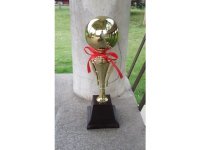 1Pc Golden Plated Trophy Cup Novelty Achievement Award 34cm High 1Pc Golden Plated Trophy Cup Novelty Achievement Award 34cm High