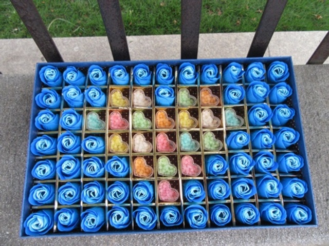 1Boxes x 53 Blue Rose Buds Lover Mother Teacher Gift W/Case