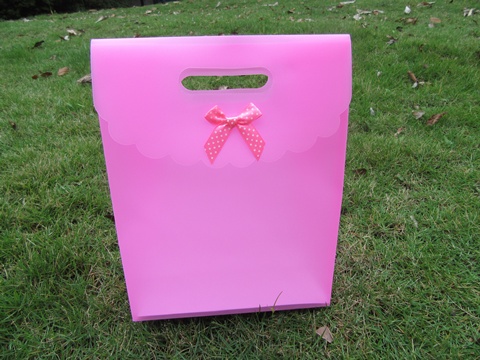 12 New Pink Gift Bag for Wedding 26x19.3cm - Click Image to Close