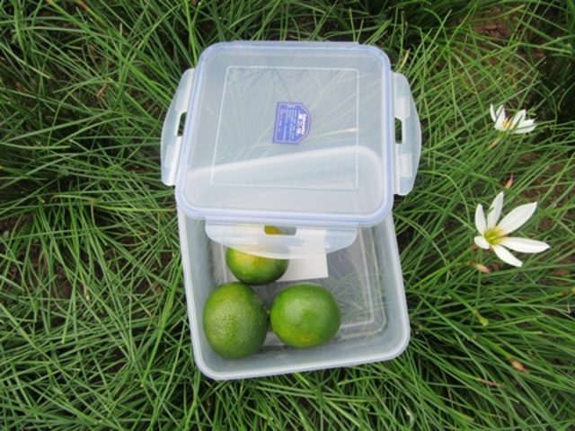 5X Portable Collection Camping Food Box Storage Container 1600ML 5X Portable Collection Camping Food Box Storage Container 1600ML