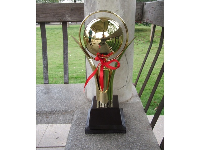 1Pc Golden Plated Trophy Cup Novelty Achievement Award 41cm High 1Pc Golden Plated Trophy Cup Novelty Achievement Award 41cm High