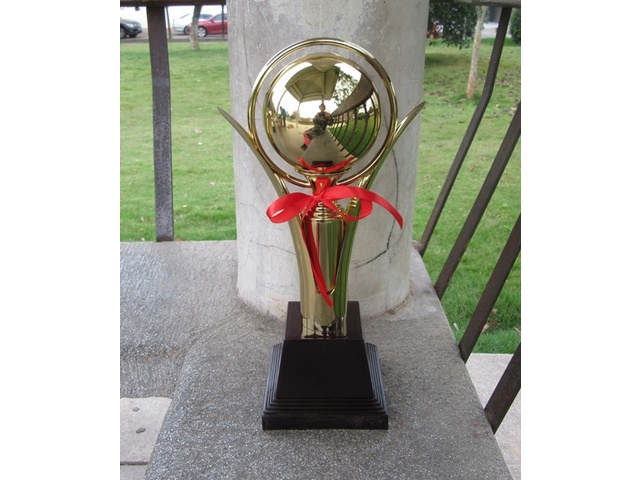 (image for) 1Pc Golden Plated Trophy Cup Novelty Achievement Award 34cm High