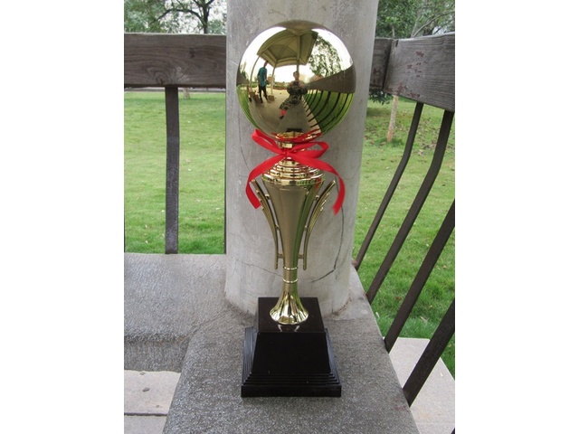 1Pc Golden Plated Trophy Cup Novelty Achievement Award 45cm High