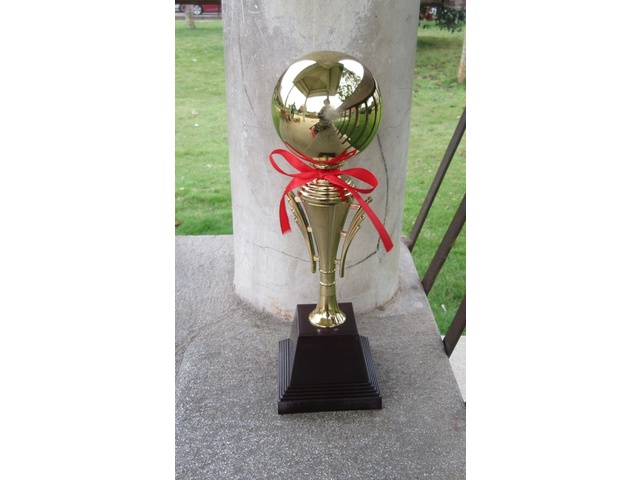1Pc Golden Plated Trophy Cup Novelty Achievement Award 34cm High