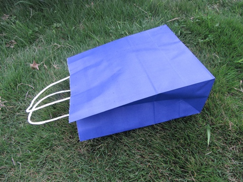 48 Bulk Kraft Paper Gift Carry Shopping Bag 27x22x11cm Dark Blue - Click Image to Close