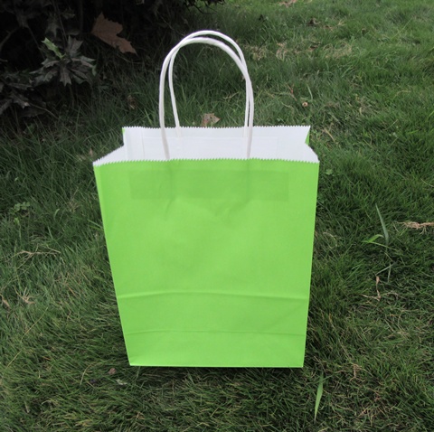 48 Bulk Kraft Paper Gift Carry Shopping Bag 33x26x12cm Green - Click Image to Close
