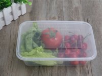 50 Disposable Take Away Food Box Container Bento Lunch Box 1000M 50 Disposable Take Away Food Box Container Bento Lunch Box 1000M