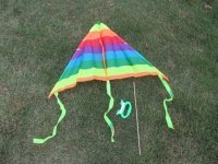 10Pcs Vivid Stunt Triangle Kite Lines Reel Outdoor Games 80cm 10Pcs Vivid Stunt Triangle Kite Lines Reel Outdoor Games 80cm