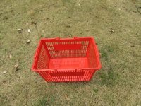 1X Red Plastic Convenient Shopping Baskets 1X Red Plastic Convenient Shopping Baskets