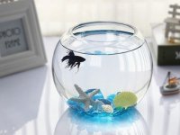 6X Wedding Clear Glass Fish Bowl Vases 14.5cm Dia