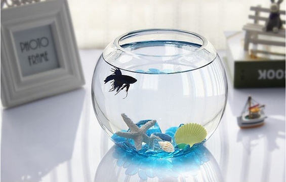 6X Wedding Clear Glass Fish Bowl Vases 14.5cm Dia - Click Image to Close