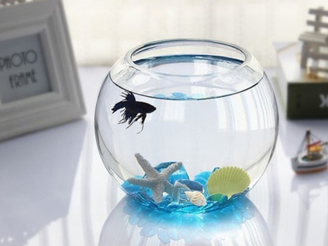 6X Wedding Clear Glass Fish Bowl Vases 14.5cm Dia
