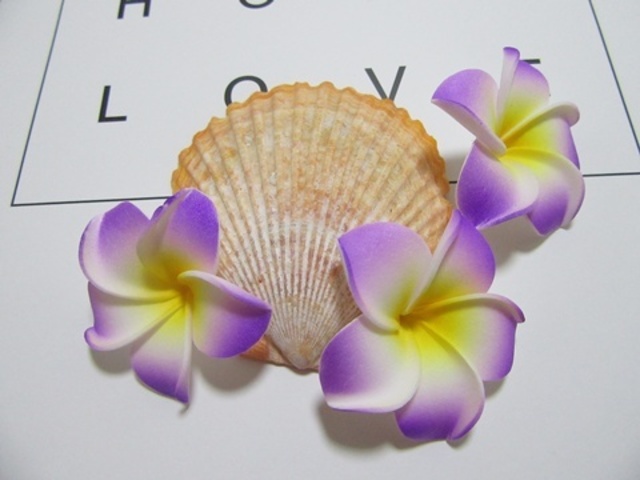 50 New Purple & Yellow Fabulous Foam Frangipani Flower 4.5x2cm 50 New Purple & Yellow Fabulous Foam Frangipani Flower 4.5x2cm