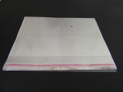 1000 Clear Self-Adhesive Seal Plastic Bags 16x20cm - Click Image to Close