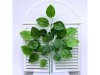 12Branch X 25 Leaves Artificial Apple Leaves 12Branch X 25 Leaves Artificial Apple Leaves