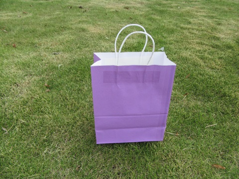 48 Bulk Kraft Paper Gift Carry Shopping Bag 27x22x11cm Purple - Click Image to Close