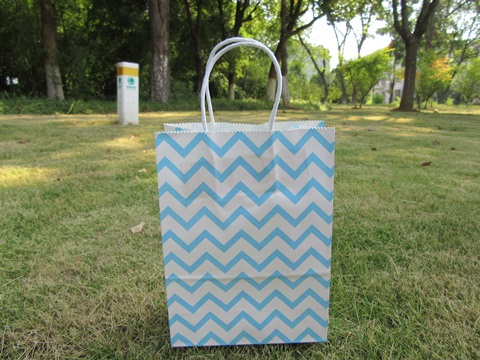 48 Bulk Waved Kraft Paper Gift Carry Shopping Bag 22x16x8cm Blue - Click Image to Close
