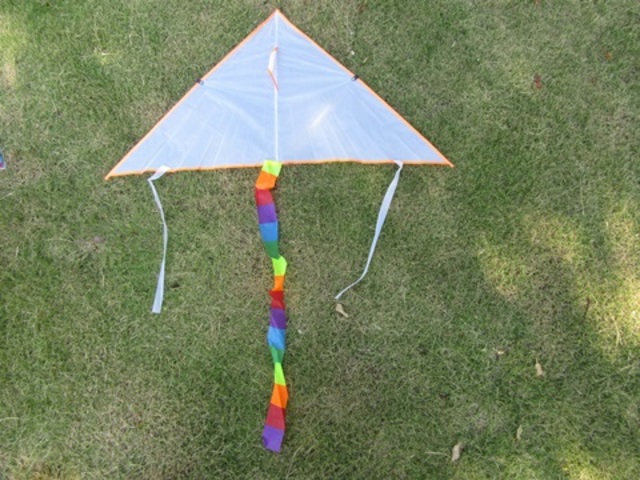 4X Blank Plain DIY Triangle Kids Painting Kite Outdoor 100cm