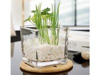 4X Wedding Clear Glass Cube Square Table Flower Vases 10x10cm