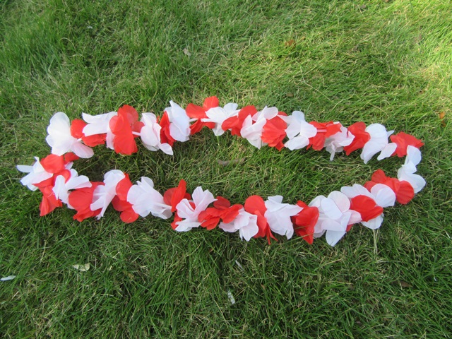 12Pcs Red & White Hawaiian Dress Party Flower Leis/Lei 52cm long - Click Image to Close