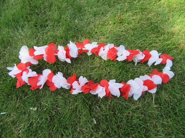 (image for) 12Pcs Red & White Hawaiian Dress Party Flower Leis/Lei 52cm long