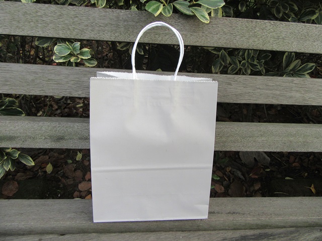 48 Bulk Kraft Paper Gift Carry Shopping Bag 21.5x16x8cm Silver - Click Image to Close