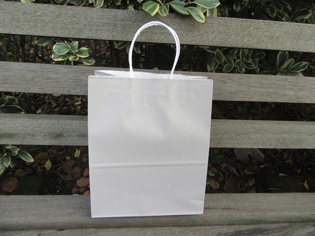 48 Bulk Kraft Paper Gift Carry Shopping Bag 21.5x16x8cm Silver 48 Bulk Kraft Paper Gift Carry Shopping Bag 21.5x16x8cm Silver