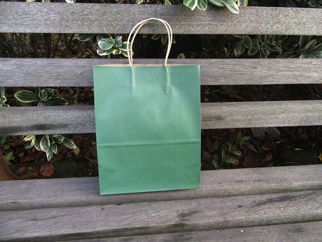 48 Bulk Kraft Paper Gift Carry Shopping Bag 21x15x8cm Green - Click Image to Close