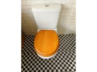 1X New Toilet Seat & Cover furn469