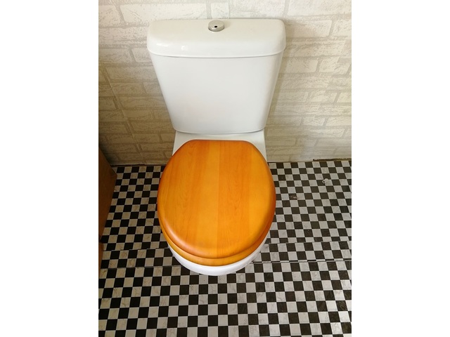 1X New Toilet Seat & Cover furn469 1X New Toilet Seat & Cover furn469