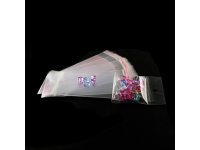1000 Self Adhesive Seal Plastic Bag 17x7cm with Hanging Hole
