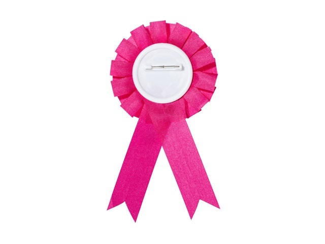 20Pcs Birthday Girl Badge Ribbon Rosette Badge Pin Kid's Favor - Click Image to Close