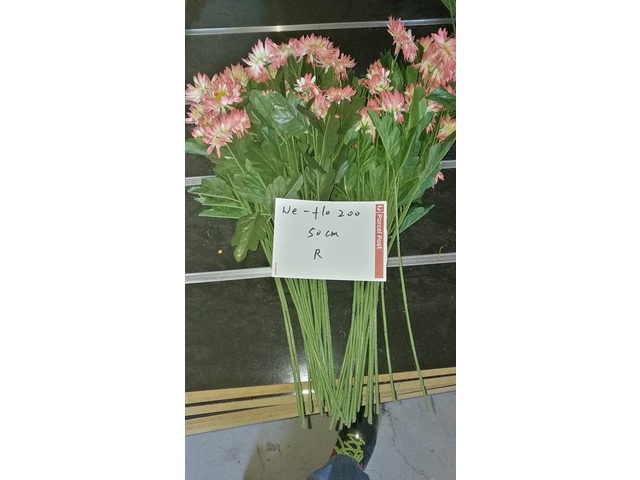 10Pcs Peach Color Flower 50cm Long we-flo200 10Pcs Peach Color Flower 50cm Long we-flo200