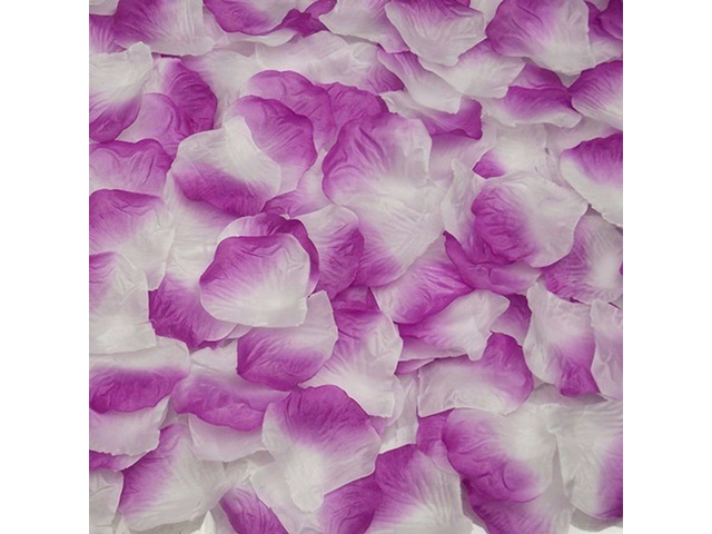 1000 Rose Petals Wedding Party Decoration - Purple Border