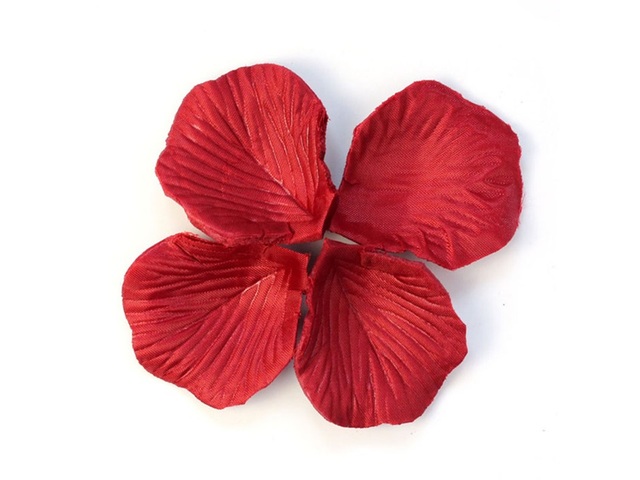 1000X Rose Petals Wedding Party Decoration - Wine Red