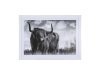 1Pc Scottish Highland Cow Print Art Poster Wall Decor Framed 1Pc Scottish Highland Cow Print Art Poster Wall Decor Framed