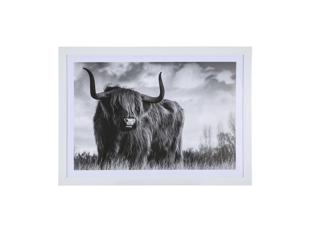 1Pc Scottish Highland Cow Print Art Poster Wall Decor Framed