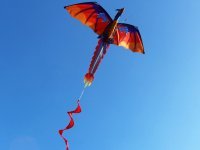 1X 3D Dragon Kite Reel Outdoor Game Single Line With Tail 1X 3D Dragon Kite Reel Outdoor Game Single Line With Tail
