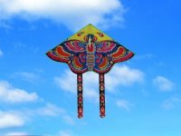 10 Vivid Butterfly Kite Lines Reel Outdoor Games