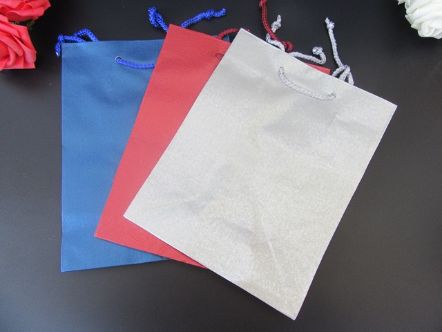 12Pcs Plain Colored Paper Gift Shopping Bags 23x18x10cm - Click Image to Close