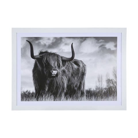 1Pc Scottish Highland Cow Print Art Poster Wall Decor Framed - Click Image to Close