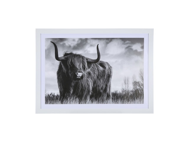 1Pc Scottish Highland Cow Print Art Poster Wall Decor Framed - Click Image to Close