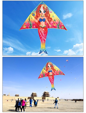 10 Vivid Stunt Mermaid Kite Lines Reel Outdoor Games - Click Image to Close