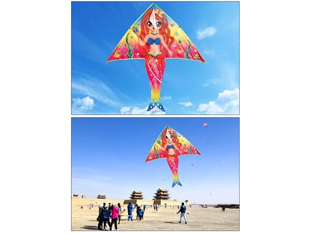 10 Vivid Stunt Mermaid Kite Lines Reel Outdoor Games - Click Image to Close